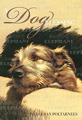 Dog Blessing