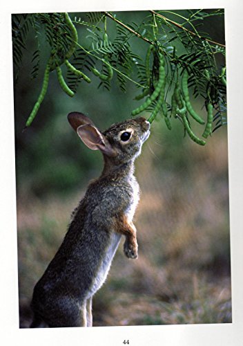 Title: Out of the Darkness The Mystery and Majesty of God
