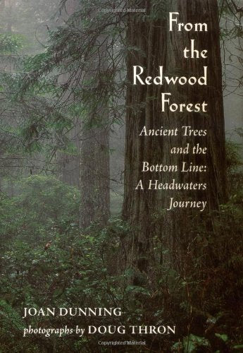From the Redwood Forest