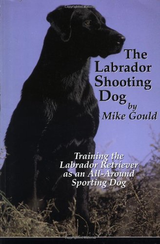 Labrador Shooting Dog