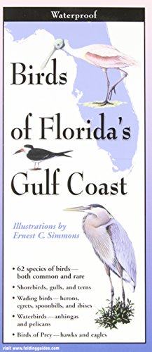 Birds of Florida's Gulf Coast
