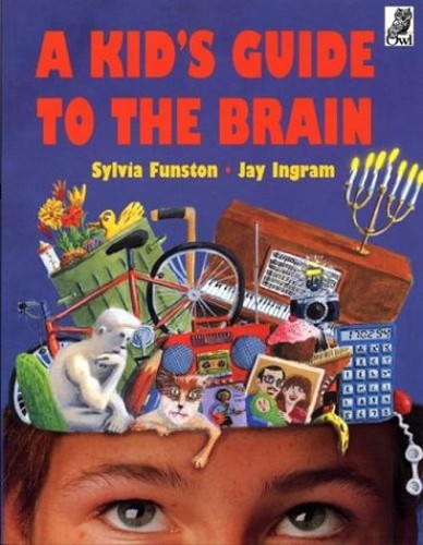 A Kid's Guide to the Brain