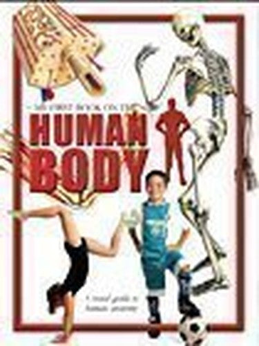 Human Body