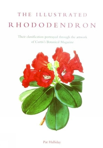 Illustrated Rhododendron, The