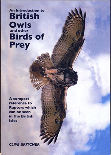 An Introduction to British Owls