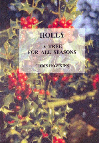 Holly