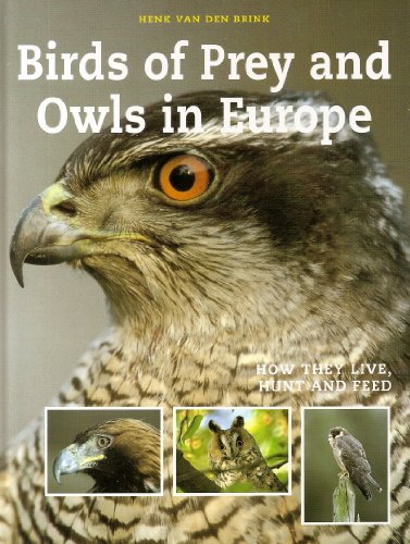 Birds of Prey