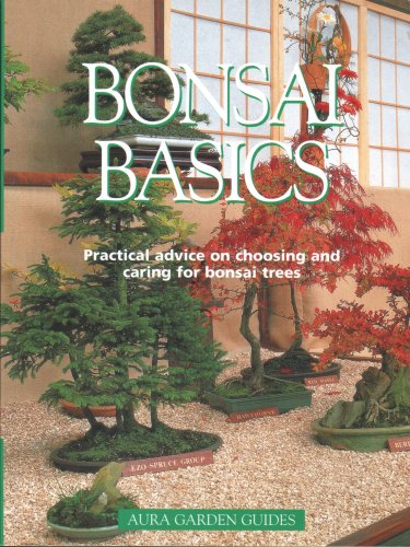 Bonsai Basics