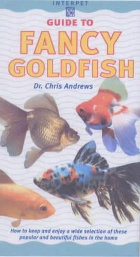 Guide to Fancy Goldfish