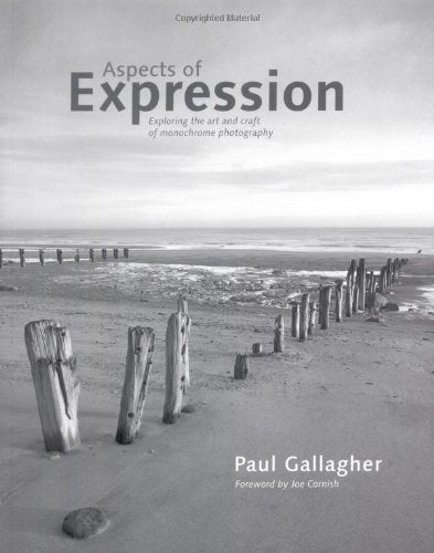Aspects of Expression