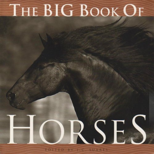 Big Book of Horses