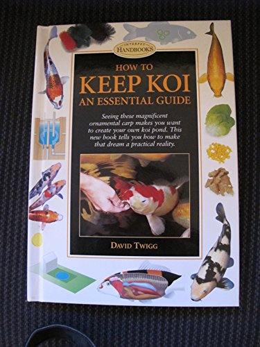 How to Keep Koi