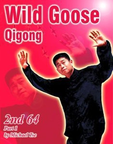 Wild Goose Qigong
