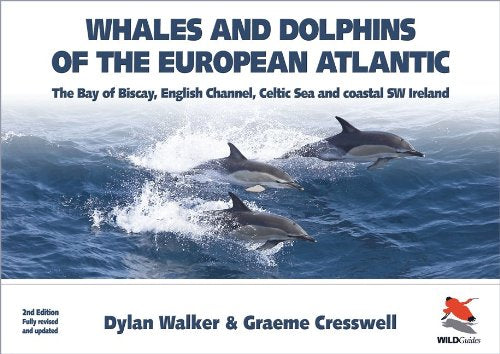 Whales and Dolphins of the European Atlantic The Bay of Biscay, English Channel, Celtic Sea, and Coastal Southwest Ireland, Fully Updated 2e