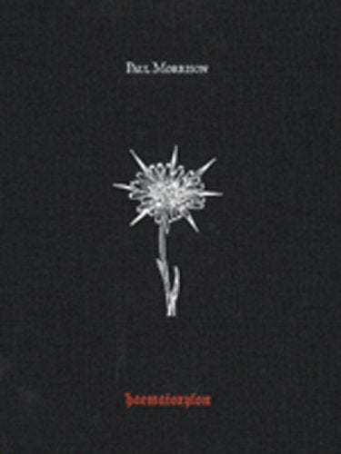 Paul Morrison