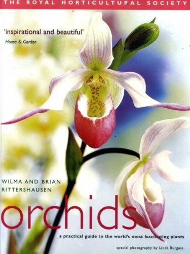 RHS Orchids