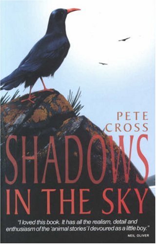 Shadows in the Sky