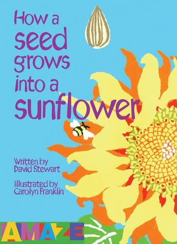 How A Seed Grows Into A Sunflower