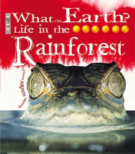 Life in the Rainforest