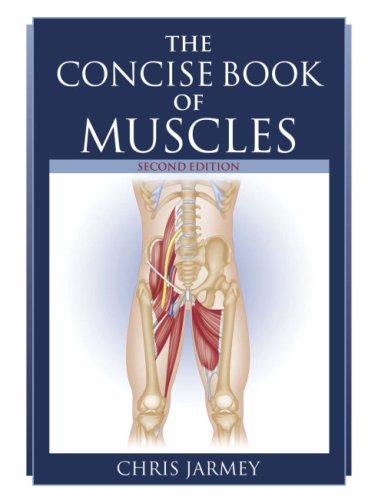 The Concise Book of Muscles