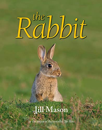 The Rabbit