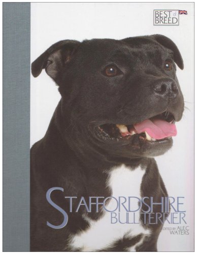 The Staffordshire Bull Terrier
