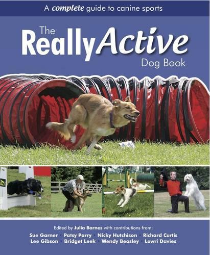 The Really Active Dog Book