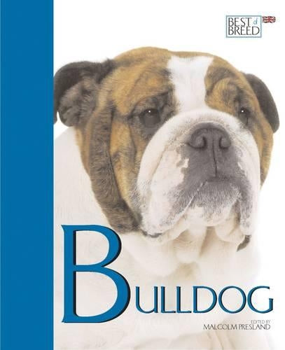 Bulldog
