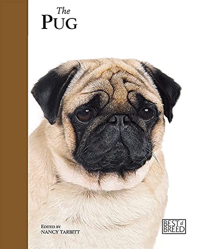 Pug