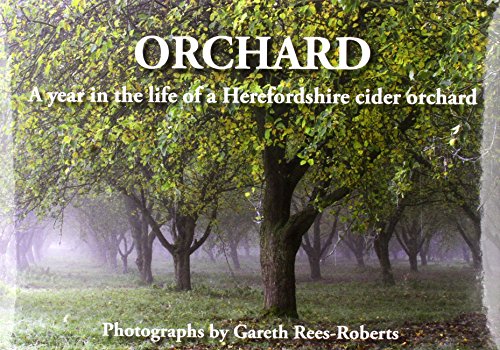 Orchard
