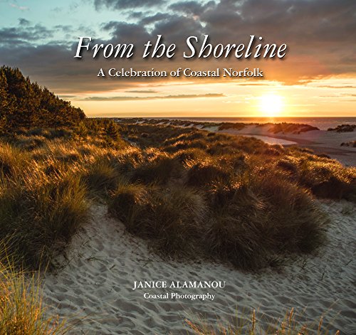 From the Shoreline