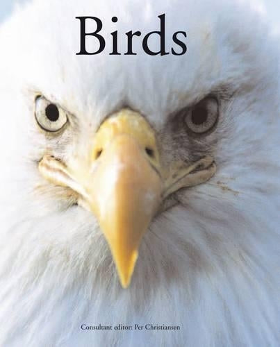 Encyclopedia of Dinosaurs