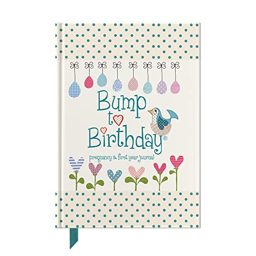 Bump to Birthday, Pregnancy & First Year Journal