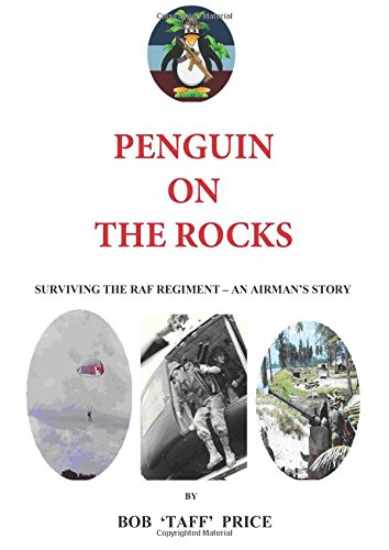 Penguin on the Rocks