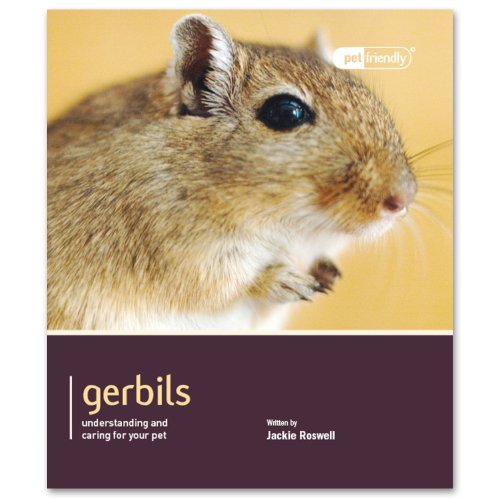 Gerbils - Pet Friendly
