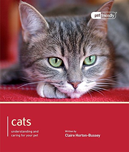 Cat - Pet Friendly