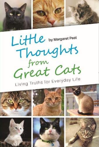 Little Thoughts from Great Cats