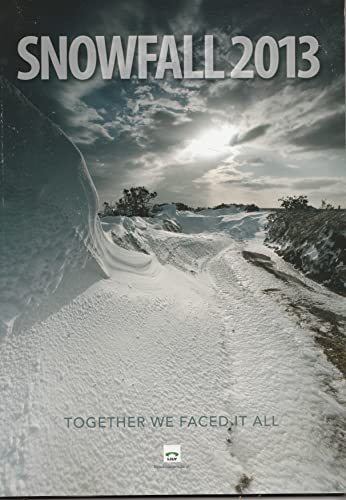 Snowfall 2013