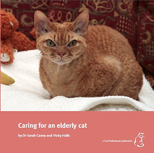 Caring for an elderly cat