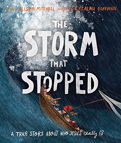 The The Storm That Stopped Storybook