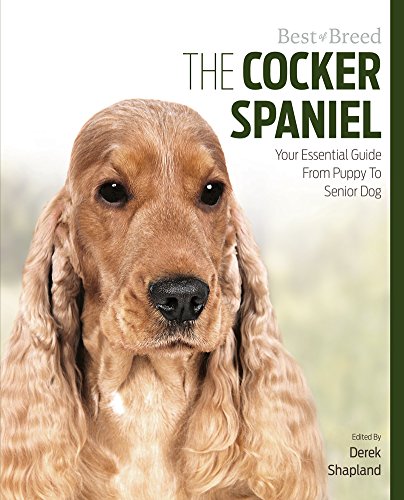 Cocker Spaniel Best of Breed