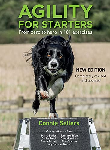 Agility For Starters