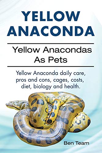 Yellow Anaconda. Yellow Anacondas As Pets. Yellow Anaconda daily care, pro's and cons, cages, costs, diet, biology and health.
