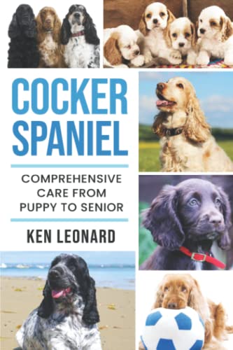 Cocker Spaniel