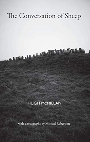 The Conversation of Sheep