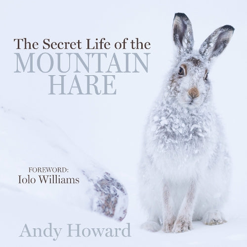 The Secret Life of the Mountain Hare