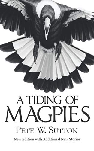 A Tiding of Magpies
