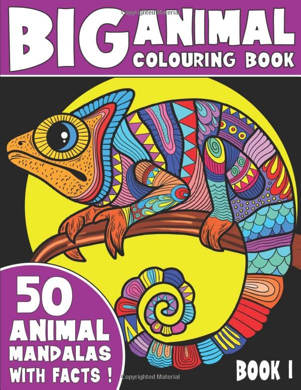 THE BIG ANIMAL COLOURING BOOK