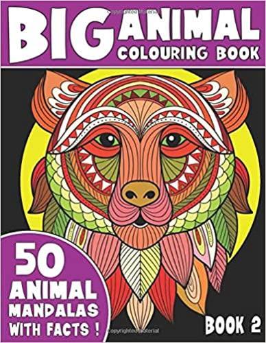 THE BIG ANIMAL COLOURING BOOK