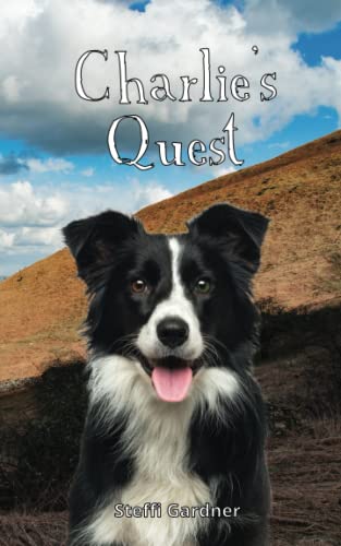 Charlie's Quest